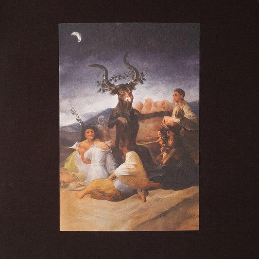 Basic Skin Goya Coven